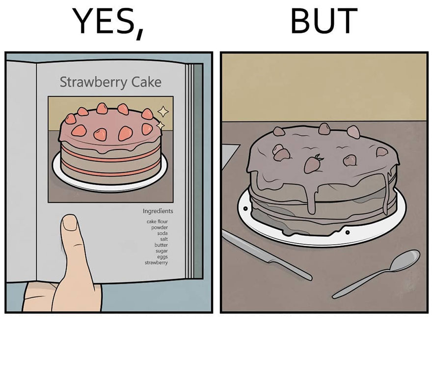 Sarcastic comic of a perfect strawberry cake in a book versus a messy homemade version on a table.