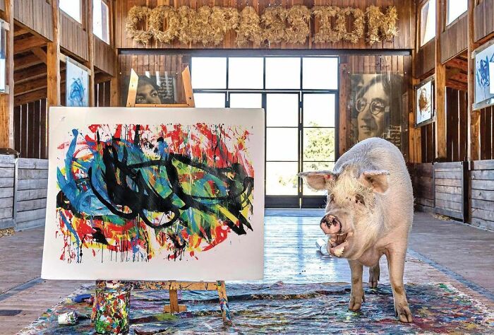 This Pig Enjoys Painting And Has Become The World's First Pig Artist