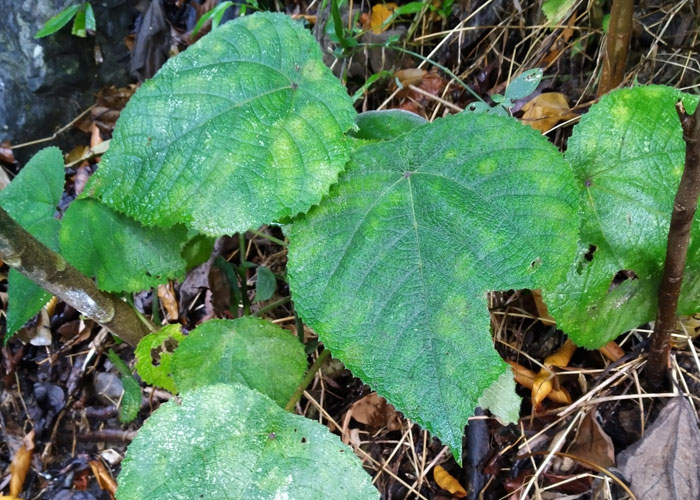 People Are Sharing 35 Not Fun Facts They Wish They Didn't Know