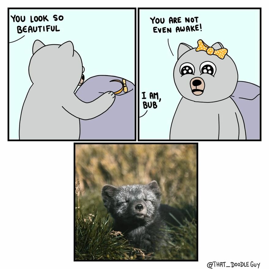 10 Comics That Show Wholesome Backstory Of These Real Animal Pictures!