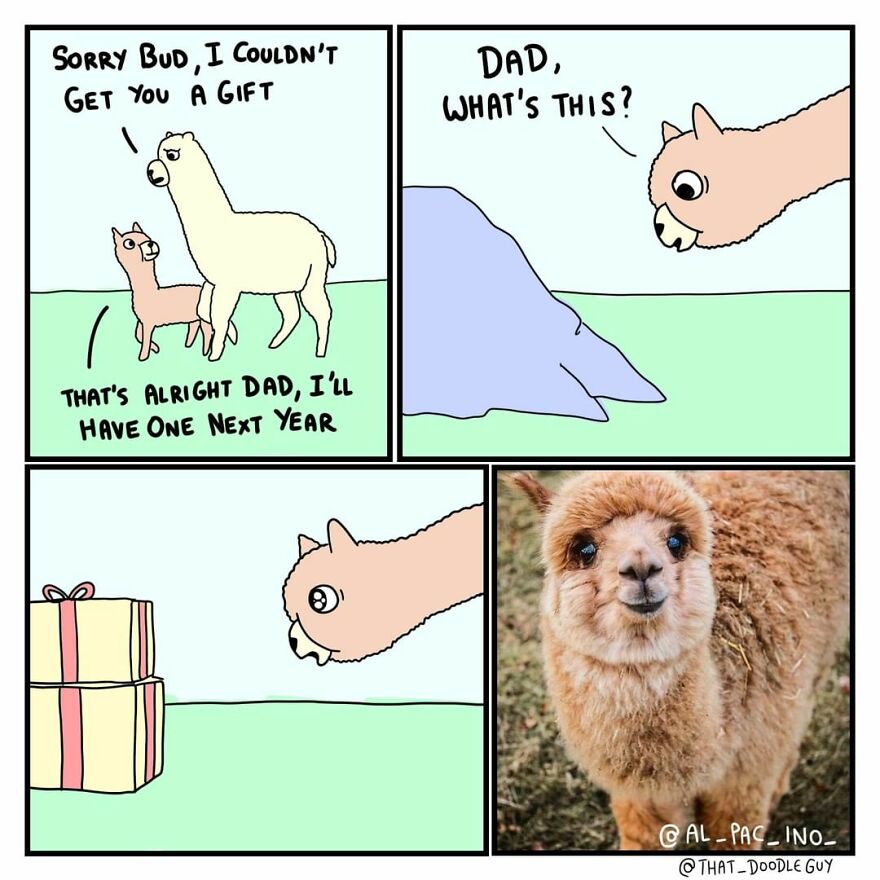 10 Comics That Show Wholesome Backstory Of These Real Animal Pictures!