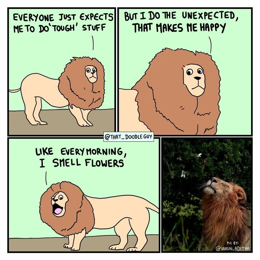 10 Comics That Show Wholesome Backstory Of These Real Animal Pictures!