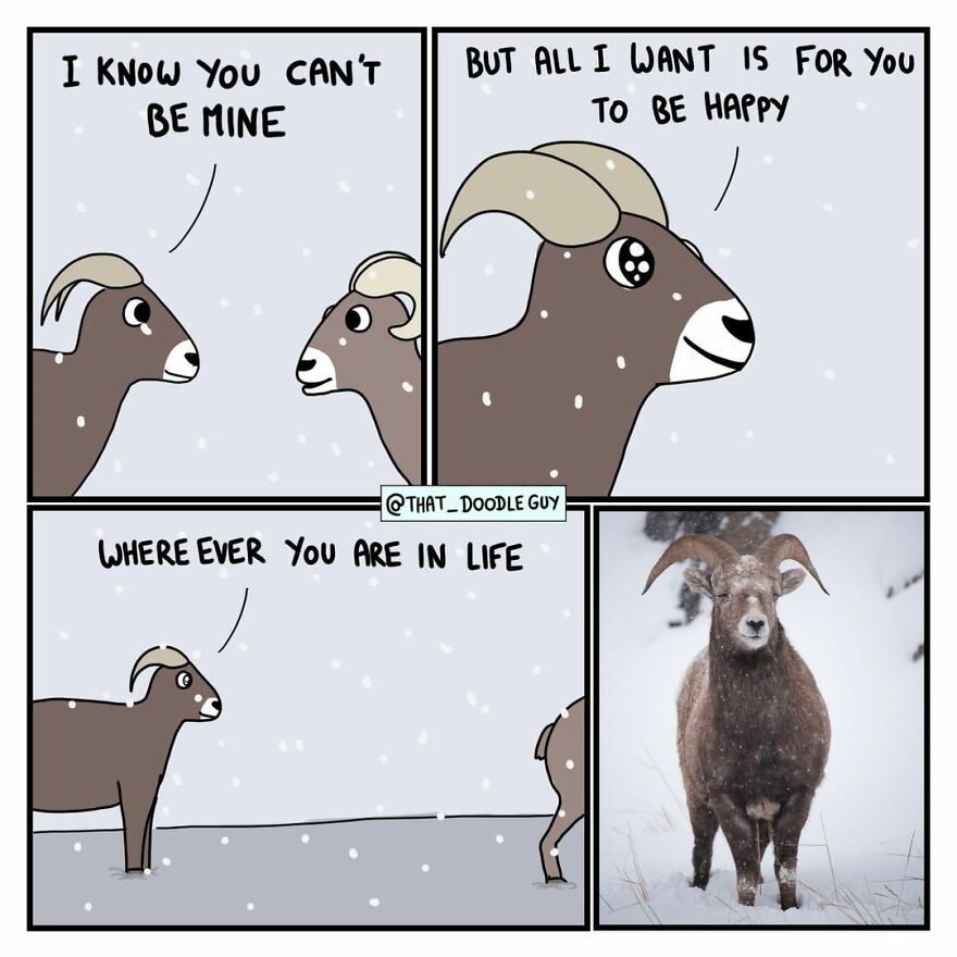 10 Comics That Show Wholesome Backstory Of These Real Animal Pictures!