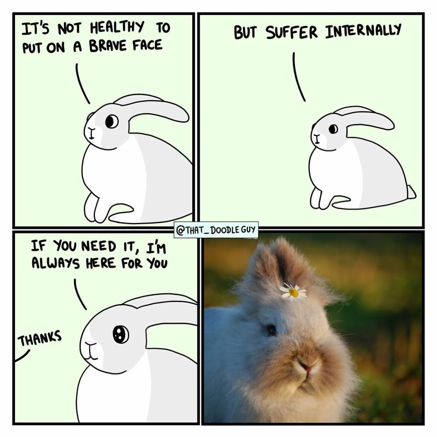 10 Comics That Show Wholesome Backstory Of These Real Animal Pictures!
