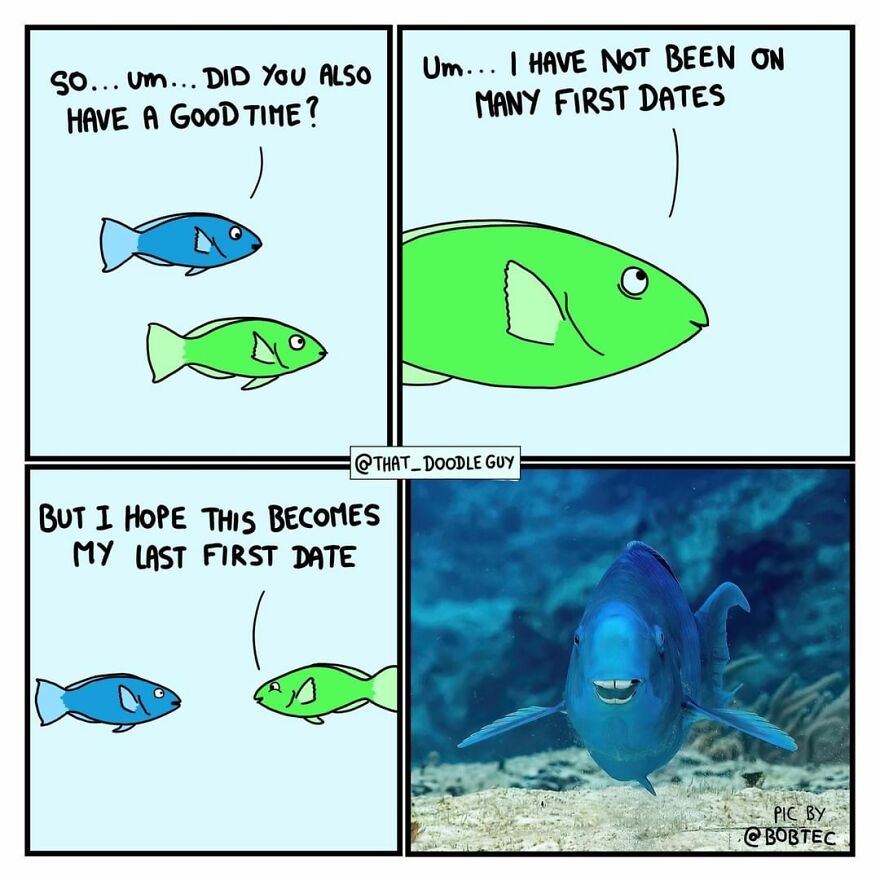 10 Comics That Show Wholesome Backstory Of These Real Animal Pictures!