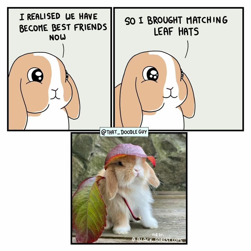 10 Comics That Show Wholesome Backstory Of These Real Animal Pictures!