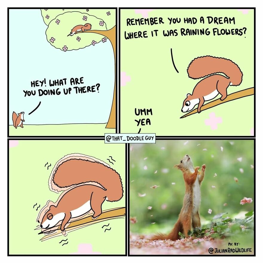 10 Comics That Show Wholesome Backstory Of These Real Animal Pictures!