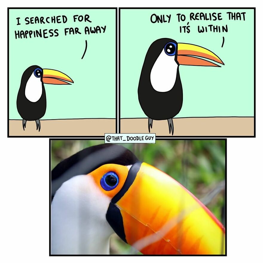 10 Comics That Show Wholesome Backstory Of These Real Animal Pictures!