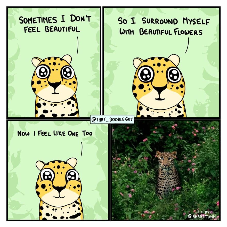 10 Comics That Show Wholesome Backstory Of These Real Animal Pictures!
