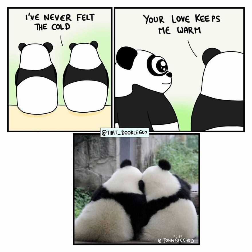 10 Comics That Show Wholesome Backstory Of These Real Animal Pictures!