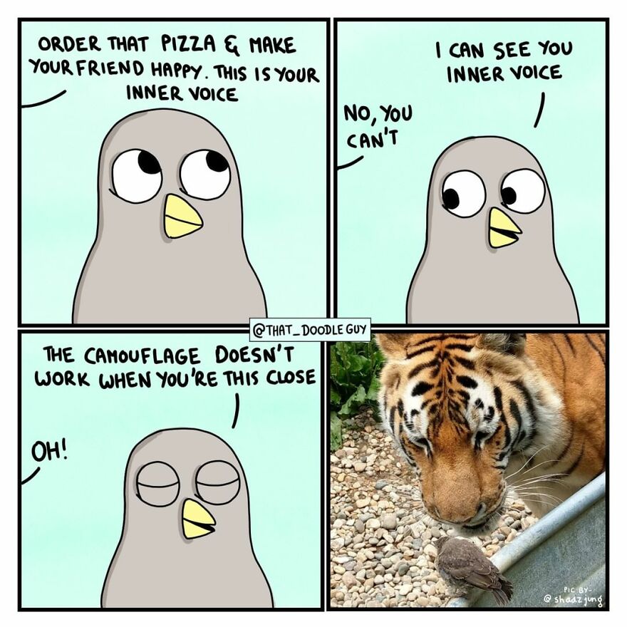 10 Comics That Show Wholesome Backstory Of These Real Animal Pictures!