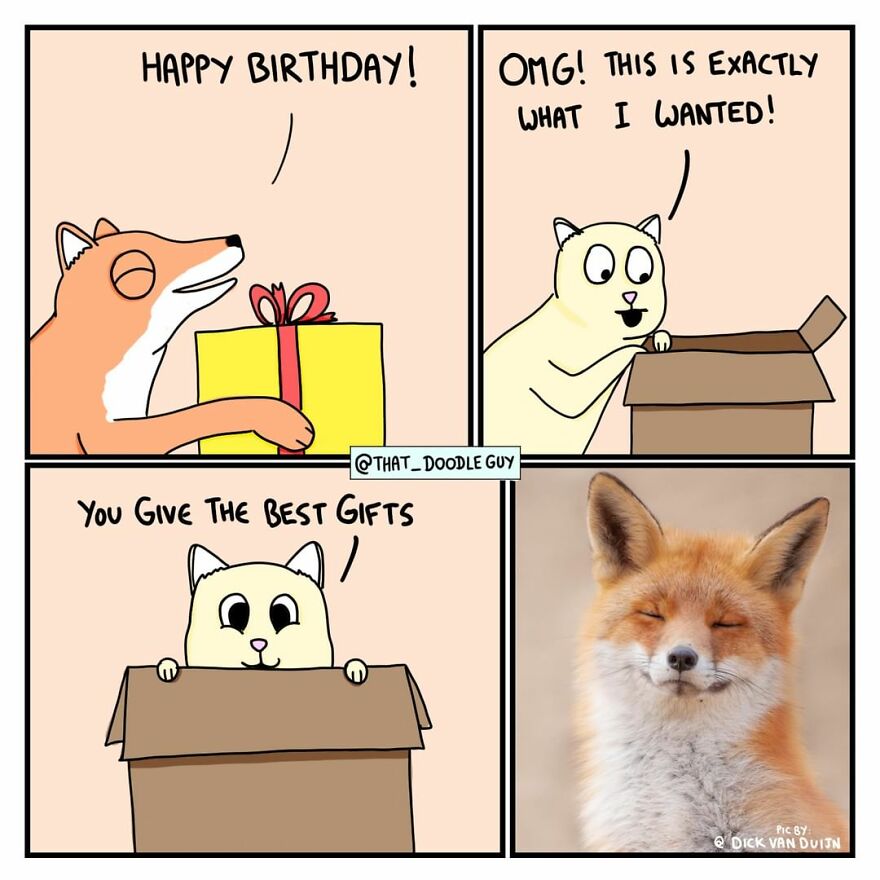 10 Comics That Show Wholesome Backstory Of These Real Animal Pictures!