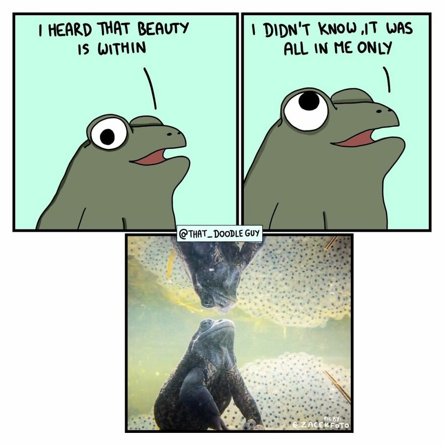 10 Comics That Show Wholesome Backstory Of These Real Animal Pictures!