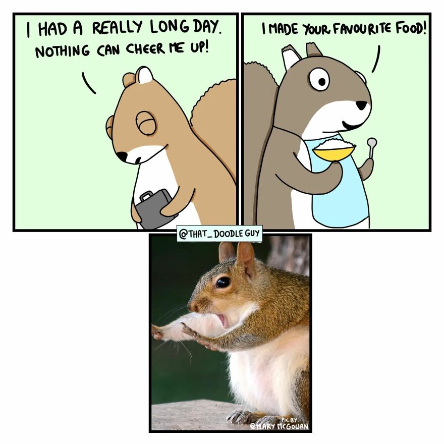 10 Comics That Show Wholesome Backstory Of These Real Animal Pictures!