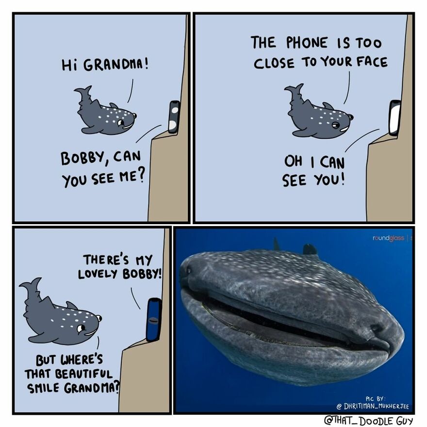 10 Comics That Show Wholesome Backstory Of These Real Animal Pictures!