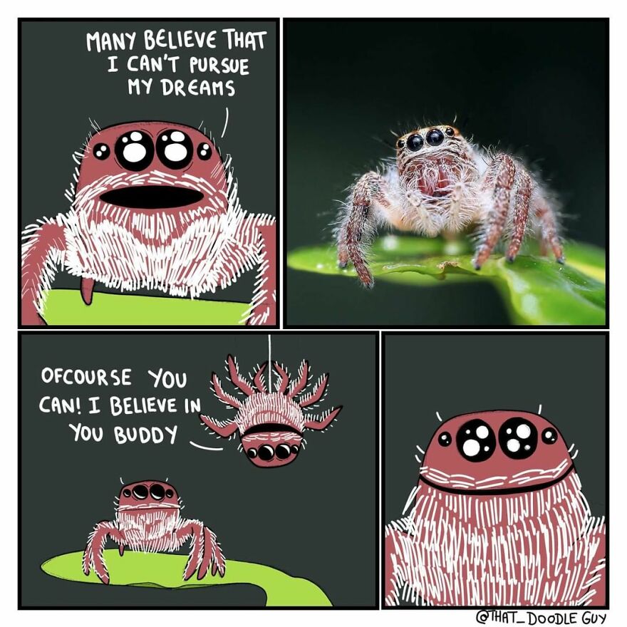 10 Comics That Show Wholesome Backstory Of These Real Animal Pictures!