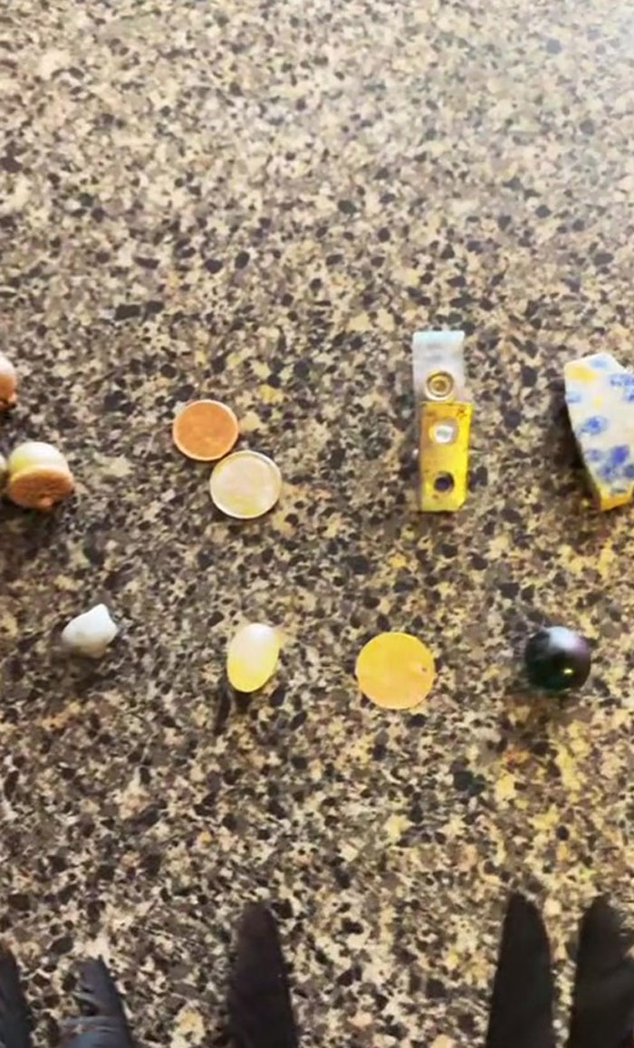 This Woman Befriended The Crows And Now Receives The Most Random Gifts As A Token Of Appreciation