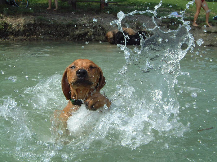 30 Basic Skills That Folks Thought Everyone Had Until They Saw Others Do It Horribly, As Shared Online