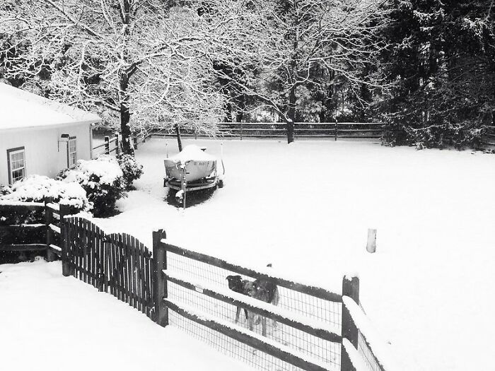 25 Historias sobre cosas terribles que hacen algunos huéspedes