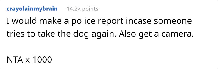 Neighbor Trespasses Into Woman&rsquo;s Yard, Takes Her Dog Thinking It&rsquo;s A Stray, And Gives It Away To Friend, Then Gets Upset After Neighbor Comes To Take It Back From Them