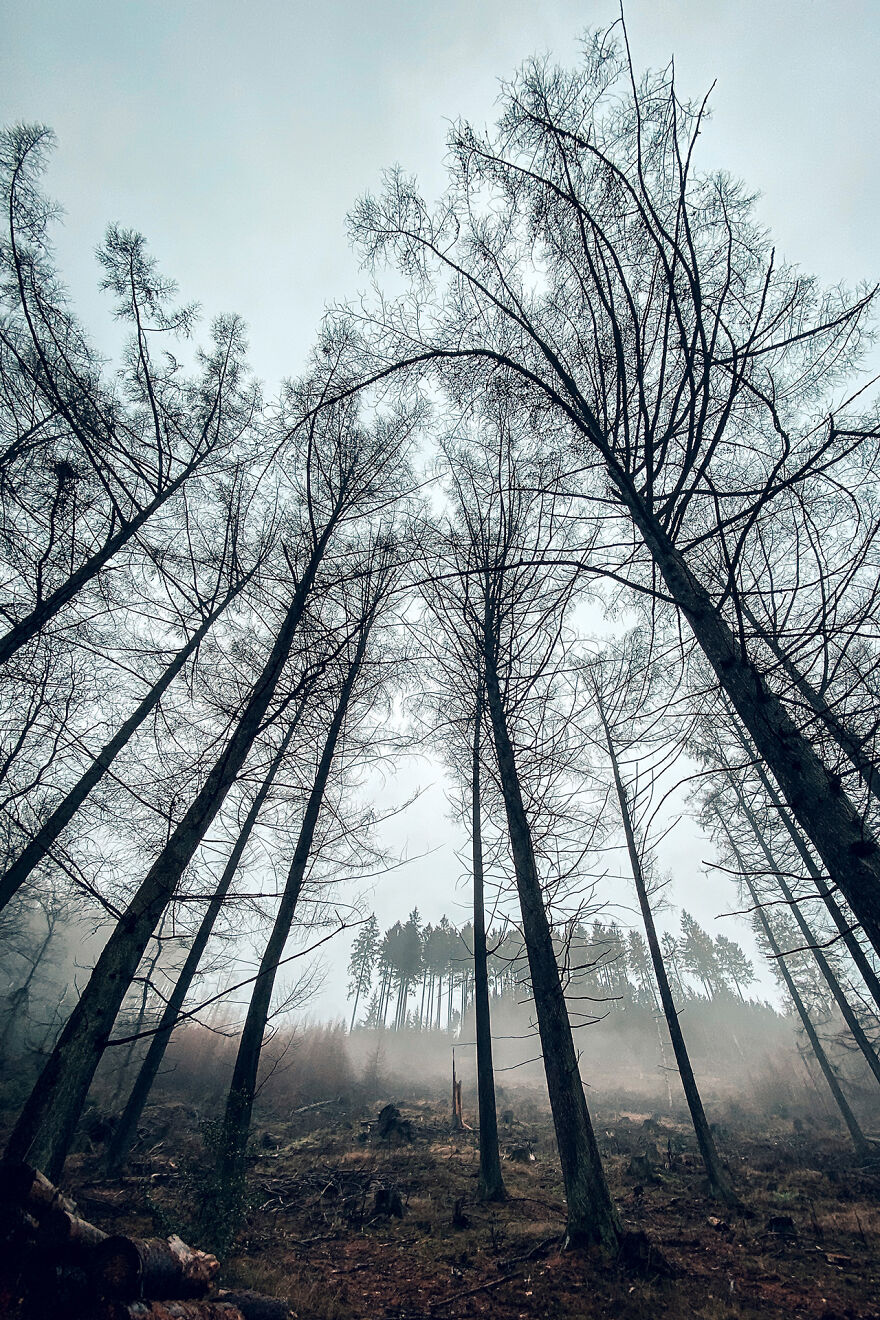 November 2021 – Shot With My iPhone While On A Walk, Plettenberg