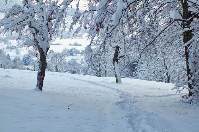 20 Personas cuyas palabras indican que no tienen ni idea de cómo funciona el mundo