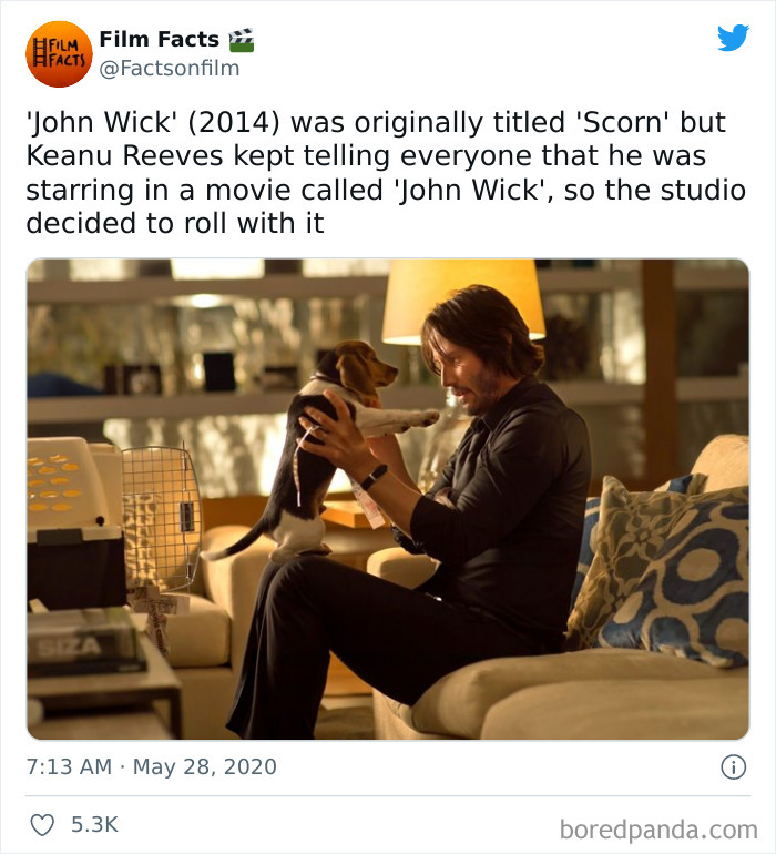 Interesting-Movie-Cinema-Industry-Facts