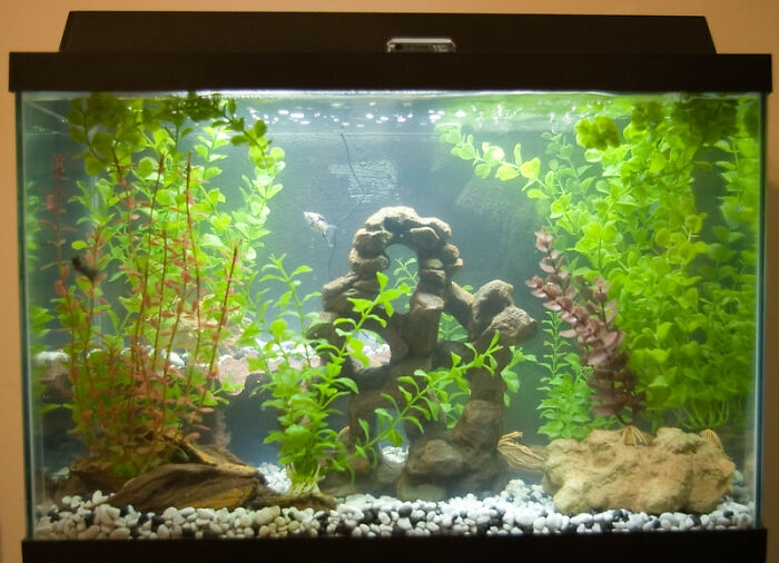 30 Crazy Yet Hilarious “I Looked Away For One Second” Stories Shared By Parents Online