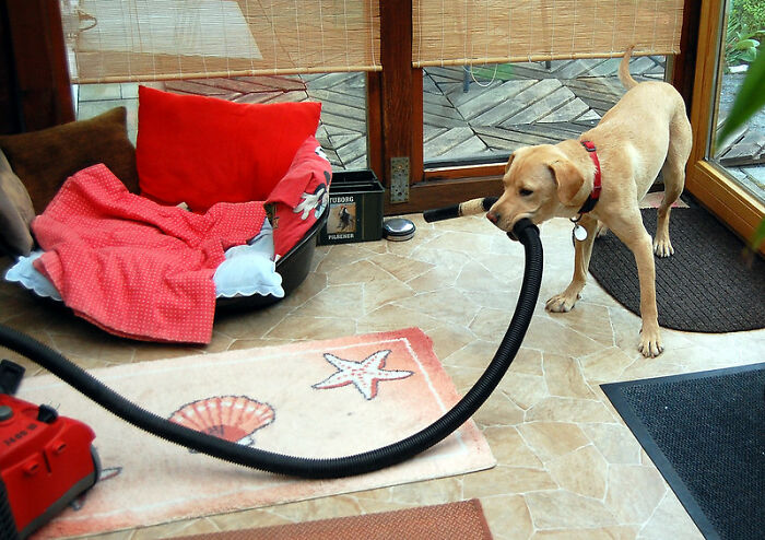 30 Basic Skills That Folks Thought Everyone Had Until They Saw Others Do It Horribly, As Shared Online