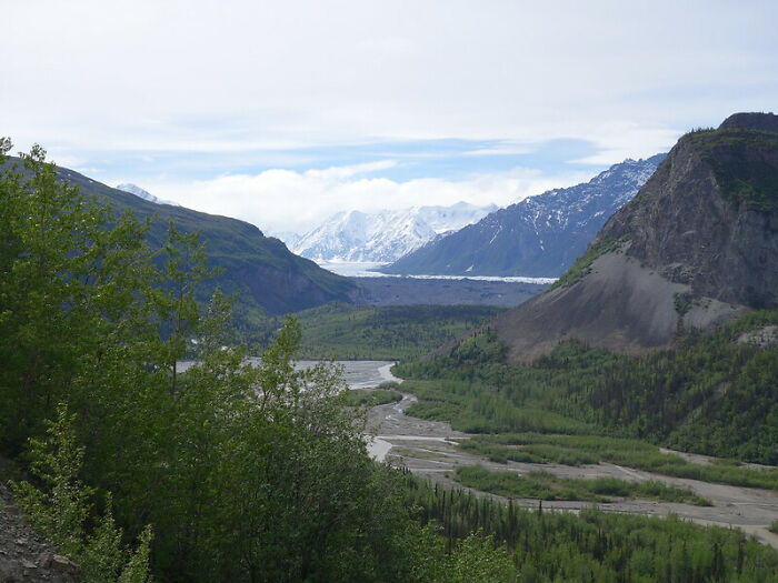 People In This Online Group Know Some Pretty Disturbing Facts About The World And Shared Them For Others To Learn