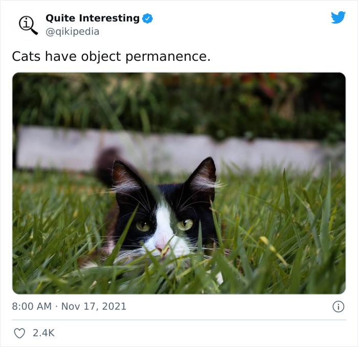 Quite-Interesting-Facts-Twitter