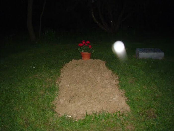 Cursed-Weird-Images-No-Context