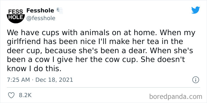 Weird-Fascinating-Confessions