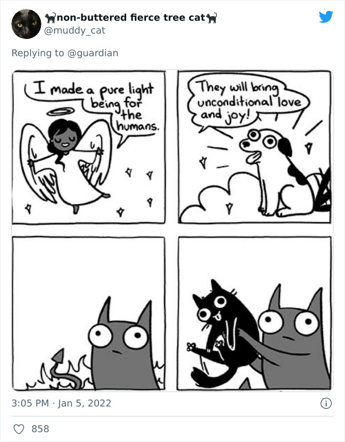 Pope-Francis-Selfish-To-Have-Pets-Instead-Of-Kids