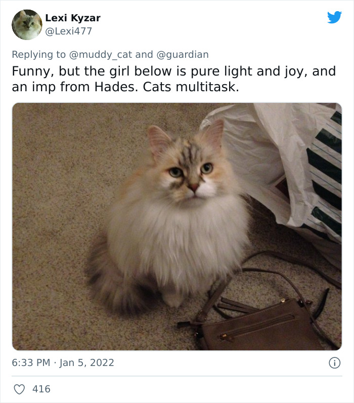 Pope-Francis-Selfish-To-Have-Pets-Instead-Of-Kids