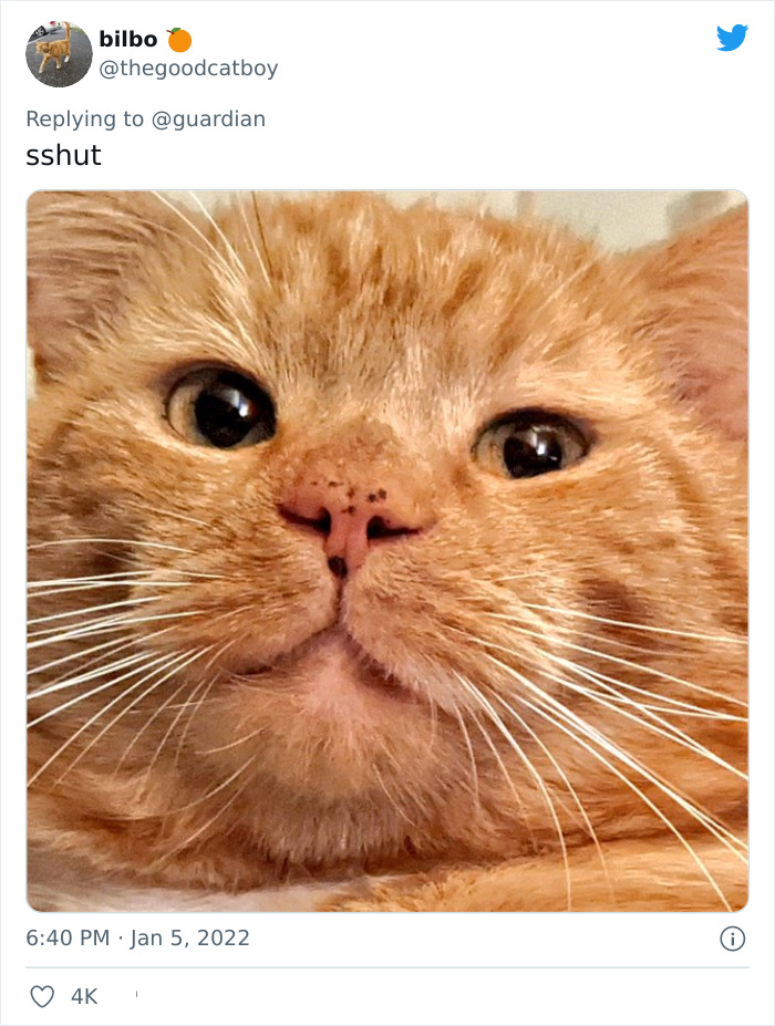 Pope-Francis-Selfish-To-Have-Pets-Instead-Of-Kids