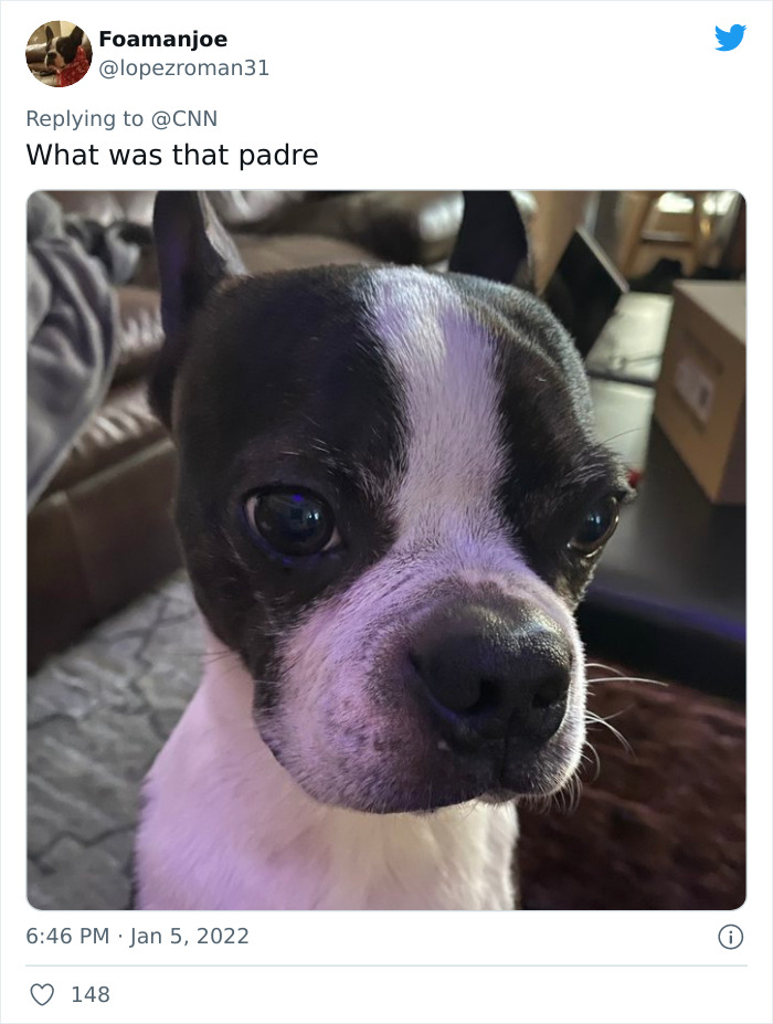 Pope-Francis-Selfish-To-Have-Pets-Instead-Of-Kids