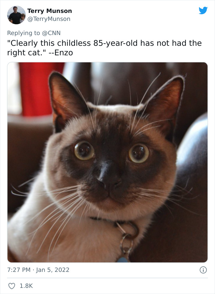 Pope-Francis-Selfish-To-Have-Pets-Instead-Of-Kids