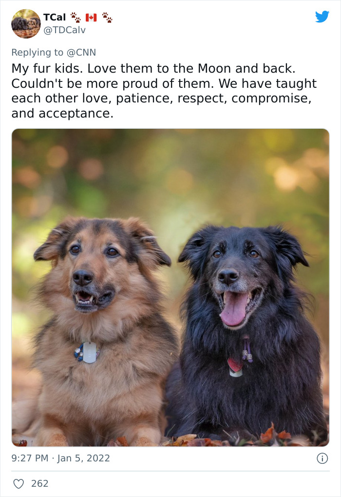 Pope-Francis-Selfish-To-Have-Pets-Instead-Of-Kids