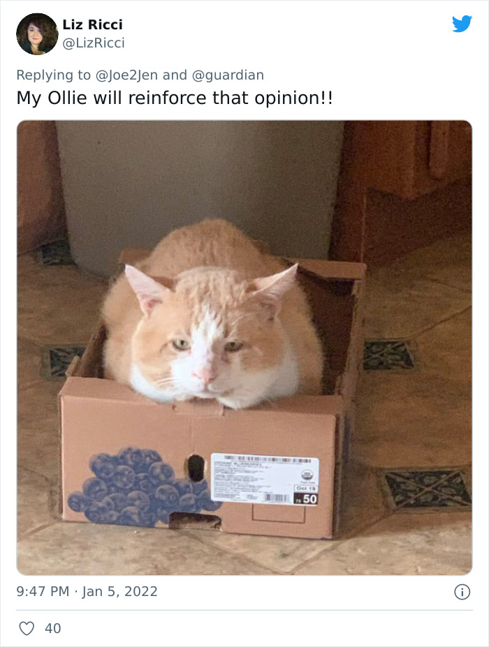 Pope-Francis-Selfish-To-Have-Pets-Instead-Of-Kids