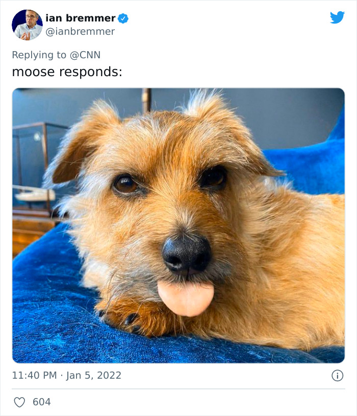 Pope-Francis-Selfish-To-Have-Pets-Instead-Of-Kids