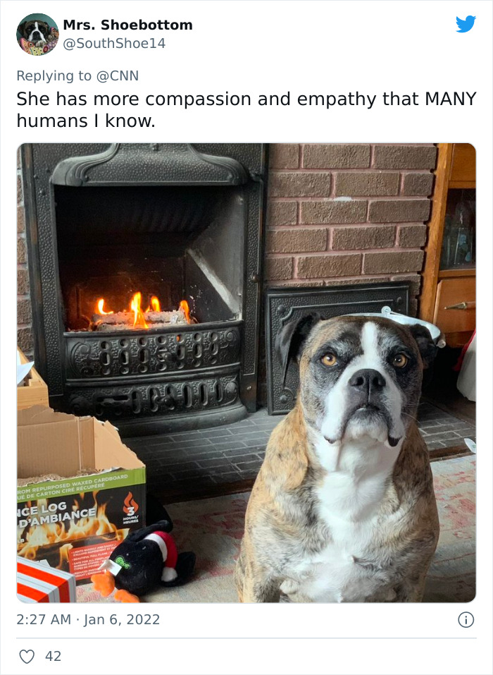 Pope-Francis-Selfish-To-Have-Pets-Instead-Of-Kids