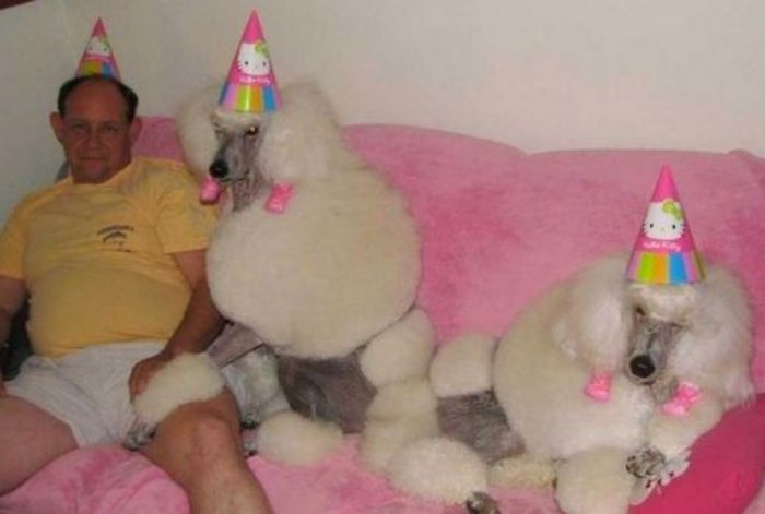 Cursed-Weird-Images-No-Context