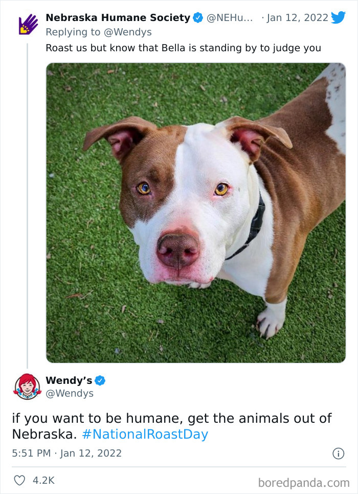 Funny-Wendys-National-Roast-Day-2022