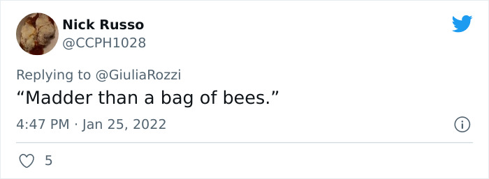 British-Slang-Excuse-To-Use-It-Twitter