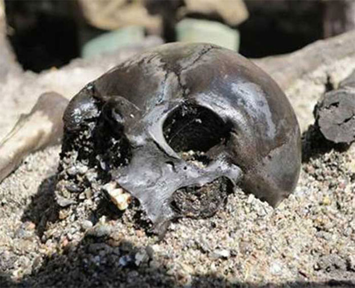 35 New ‘Today I Learned’ Facts That Prove It’s Never Too Late To Learn Something New