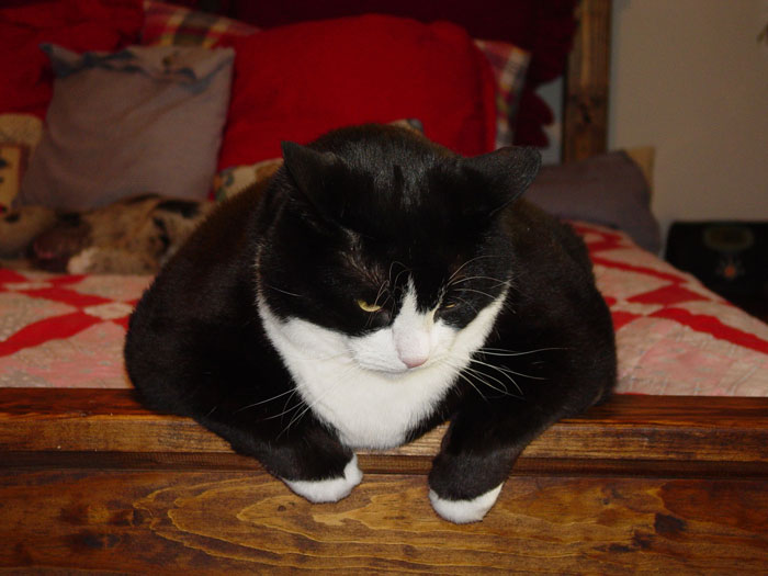 30 People In This Online Group List Things That Have A Much Darker Reality Than One Might Think