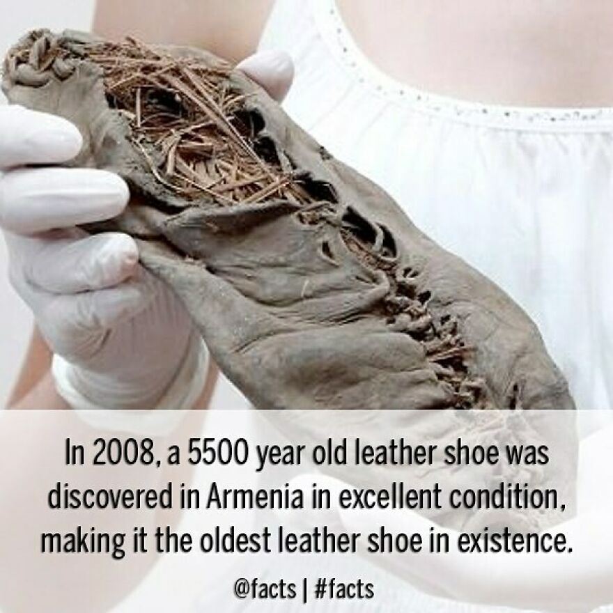 #facts #shoe #armenia #throwback #cool