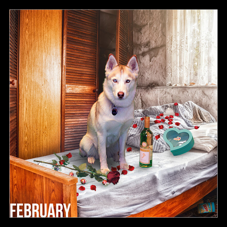 I Photoshop My Dog Into Goofy Scenes For My 2022 Calendar