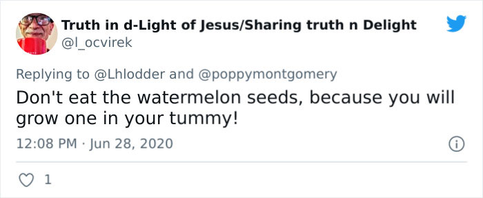 Cute-Lies-Parents-Tell-Twitter